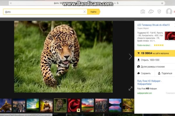 Кракен онион ссылка на тор